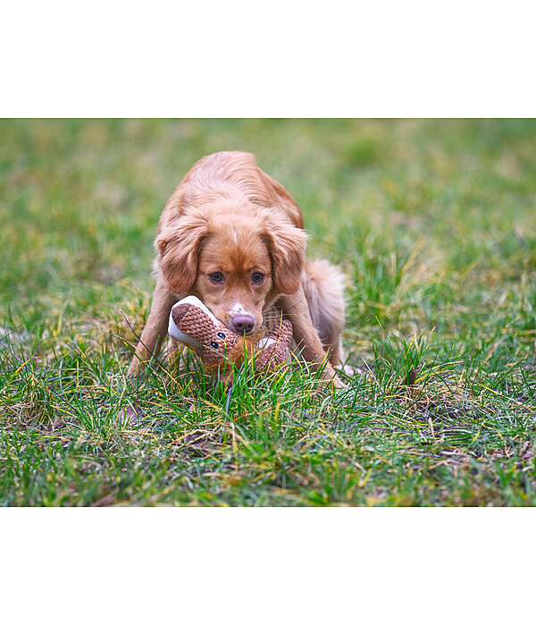 Peluche lion pour chien  Lio