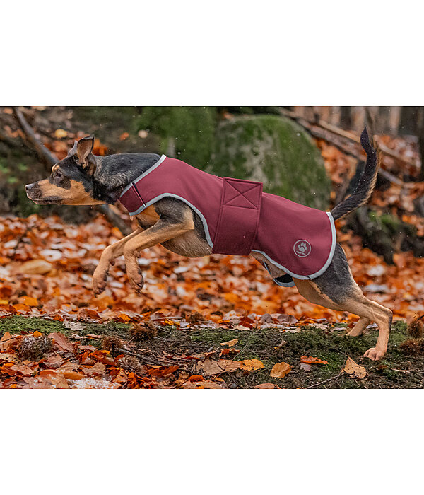 Manteau de randonne en softshell pour chien  Athlete, 0 g