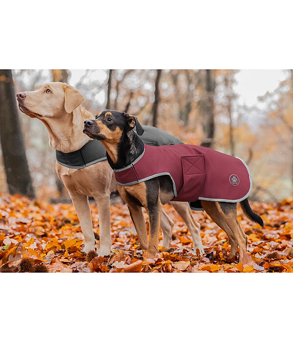 Manteau de randonne en softshell pour chien  Athlete, 0 g