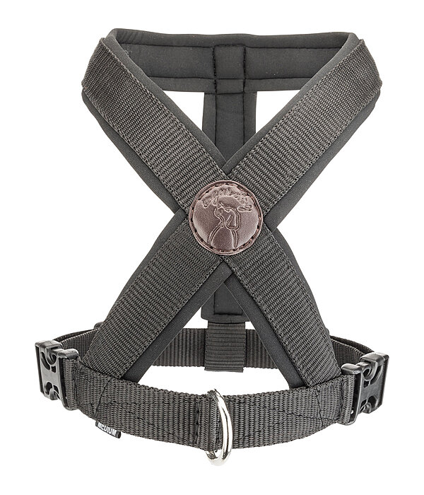 Harnais pour chien  Piper