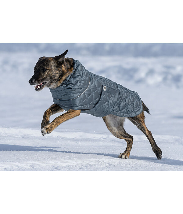 Manteau pour chien matelass avec doublure polaire  Cliff, 200 g