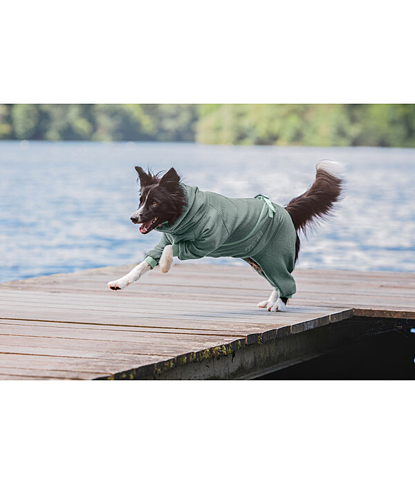 Peignoir pour chien  Allover Dry