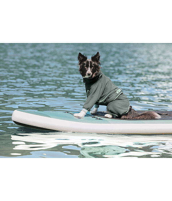 Peignoir pour chien  Allover Dry