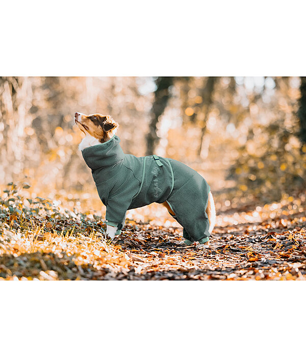 Peignoir pour chien  Allover Dry