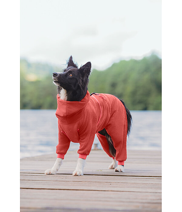 Peignoir pour chien  Allover Dry
