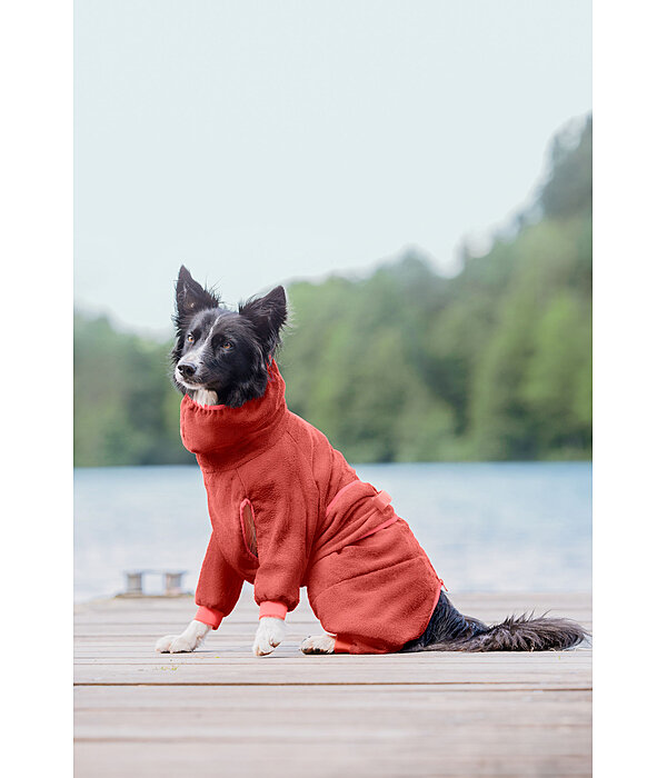 Peignoir pour chien  Allover Dry