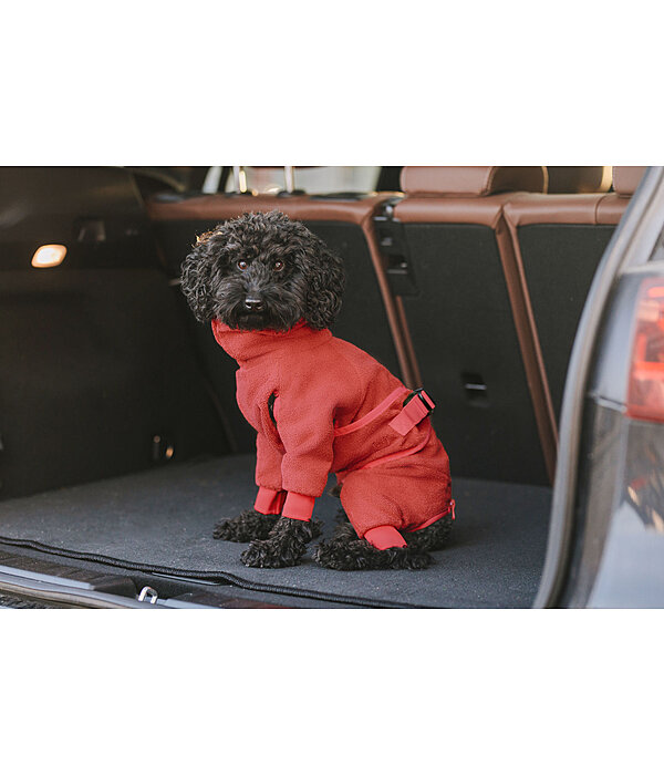 Peignoir pour chien  Allover Dry