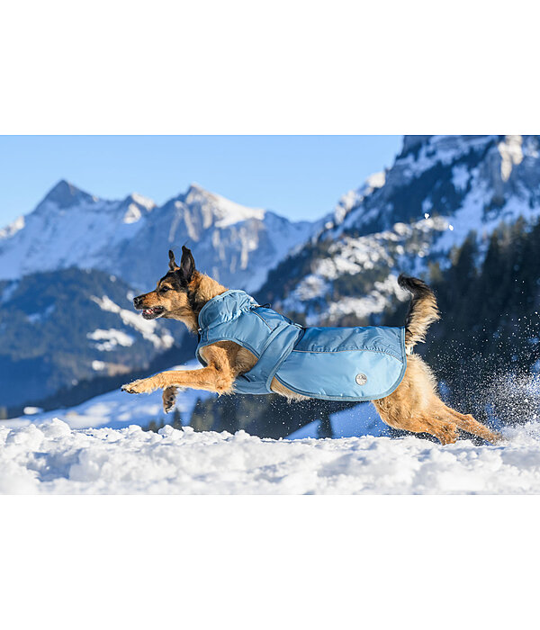Manteau d'hiver pour chien avec doublure en polaire Teddy, 100 g  Glacier Bay