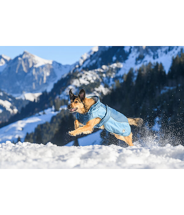 Manteau d'hiver pour chien avec doublure en polaire Teddy, 100 g  Glacier Bay