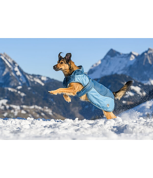 Manteau d'hiver pour chien avec doublure en polaire Teddy, 100 g  Glacier Bay
