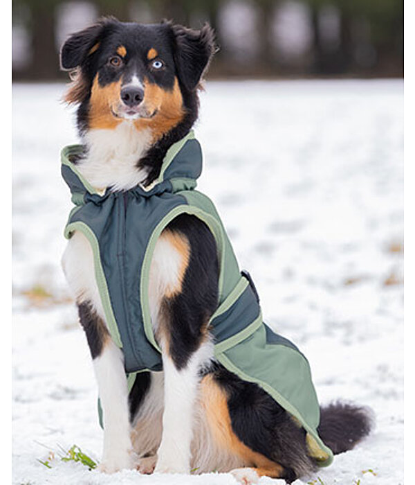 Manteau d'hiver pour chien avec doublure en polaire Teddy, 100 g  Glacier Bay