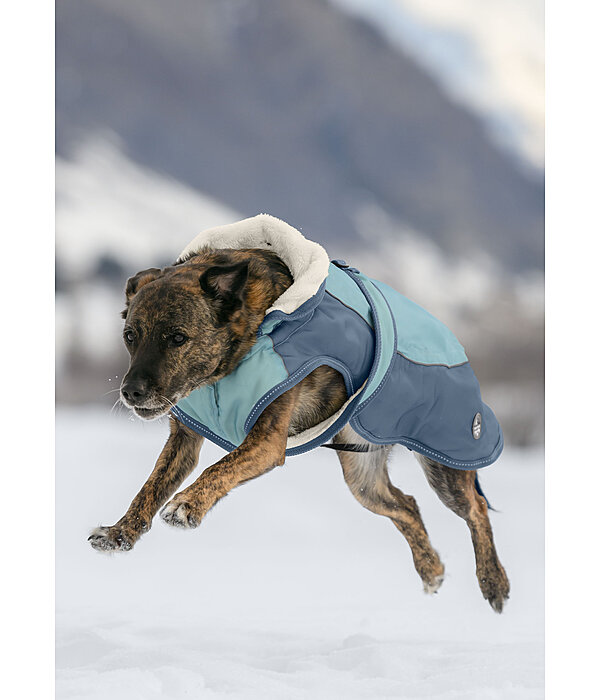 Manteau d'hiver pour chien avec doublure en polaire Teddy, 100 g  Glacier Bay