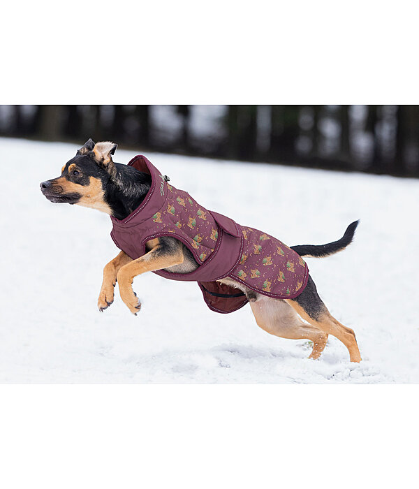 Manteau d'hiver pour chien  Candy Cane, 120 g