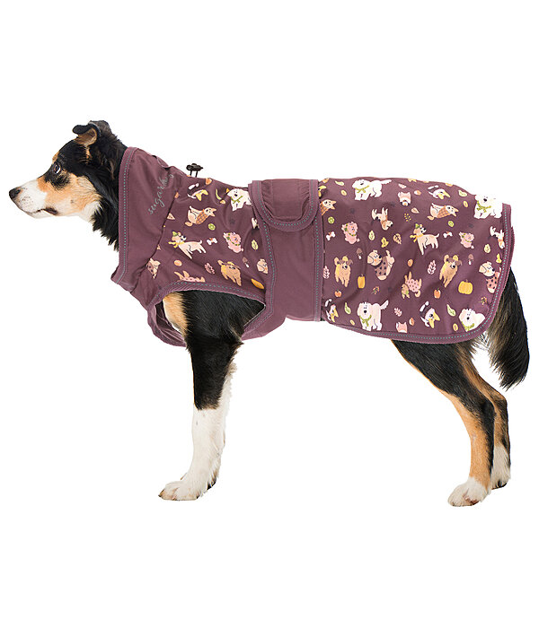 Impermable pour chien  Pumpkin Spice, 0 g