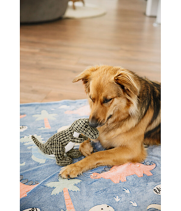 Dino en peluche pour chien  Rexy