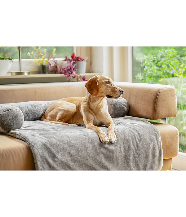 Couvre-canap�  Guard