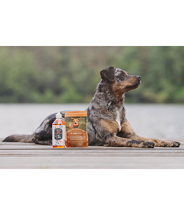 Mlange d'herbes pour chien  Clean Teeth