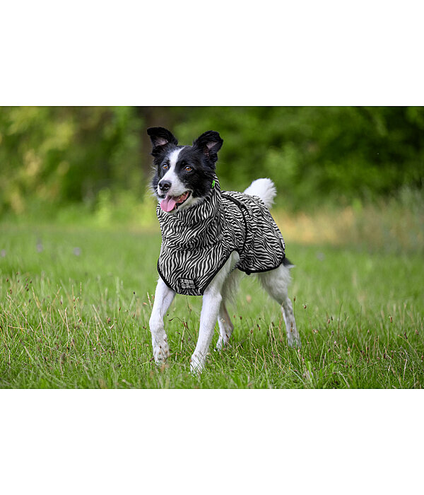 Manteau anti-mouches pour chien  Taiga