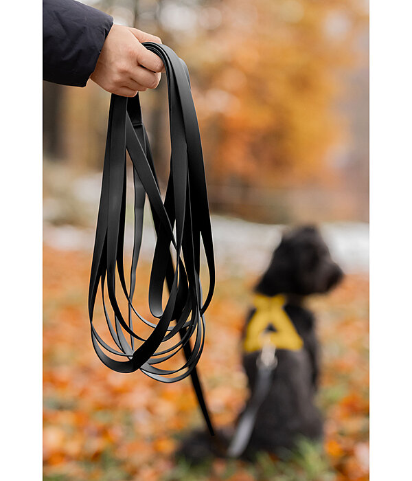 Longe Waterproof pour chien  Ginny