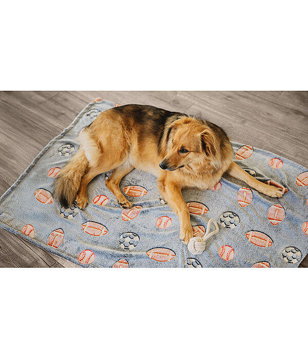 Tapis pour chien  Glow in the Dark