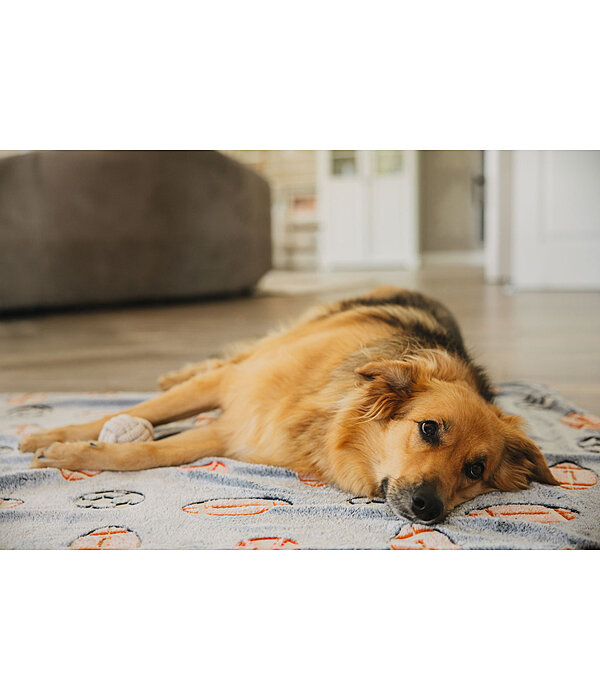 Tapis pour chien  Glow in the Dark