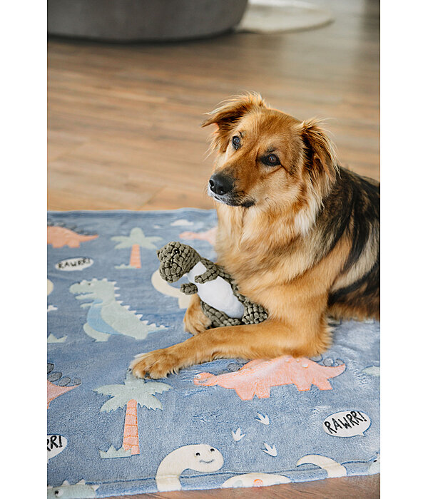 Tapis pour chien  Glow in the Dark