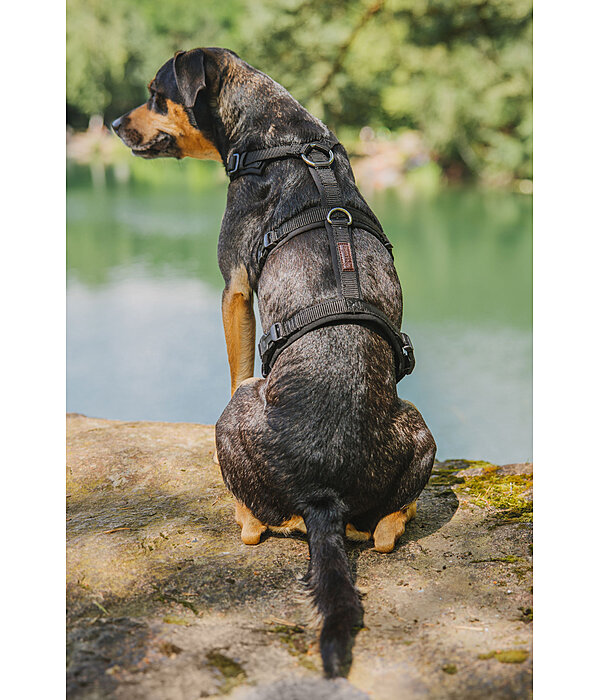 Harnais de scurit pour chien  Irmi