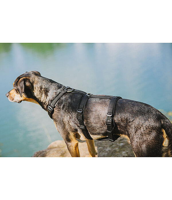 Harnais de scurit pour chien  Irmi