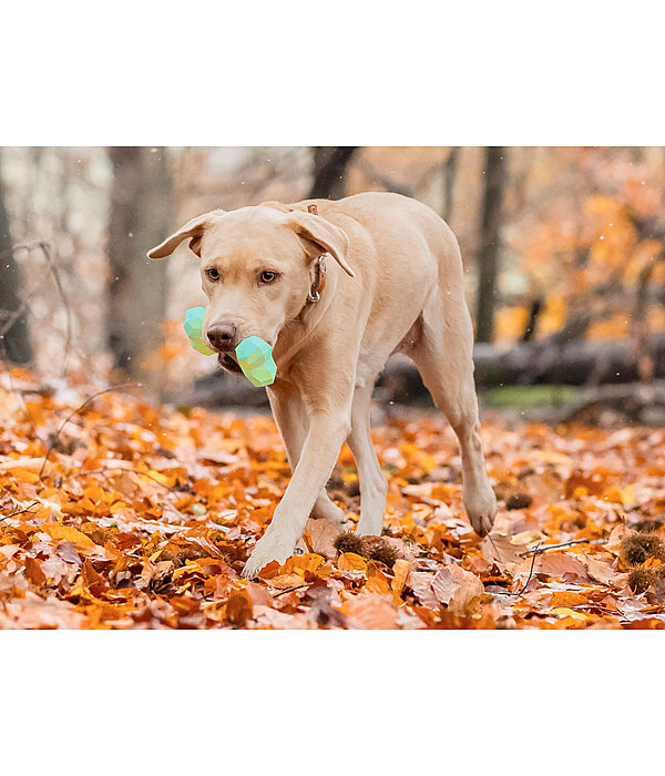 Jouet d'eau pour chien  Marble Bone