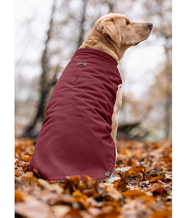 Gilet softshell rversible pour chien  Willa, 80 g
