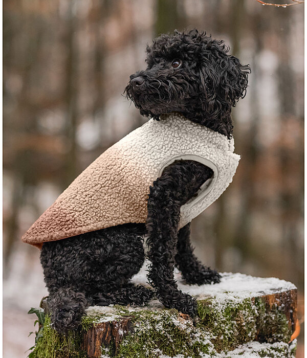 Gilet softshell rversible pour chien  Willa, 80 g