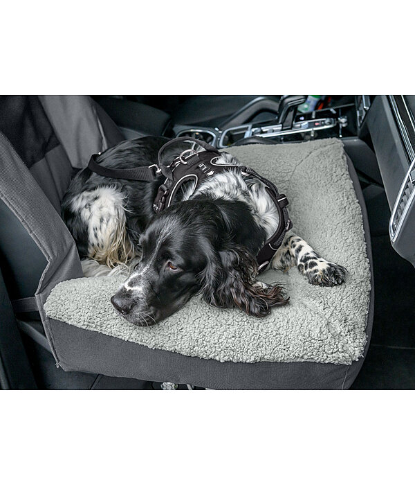 Coussin sige-auto pour chien  Maine