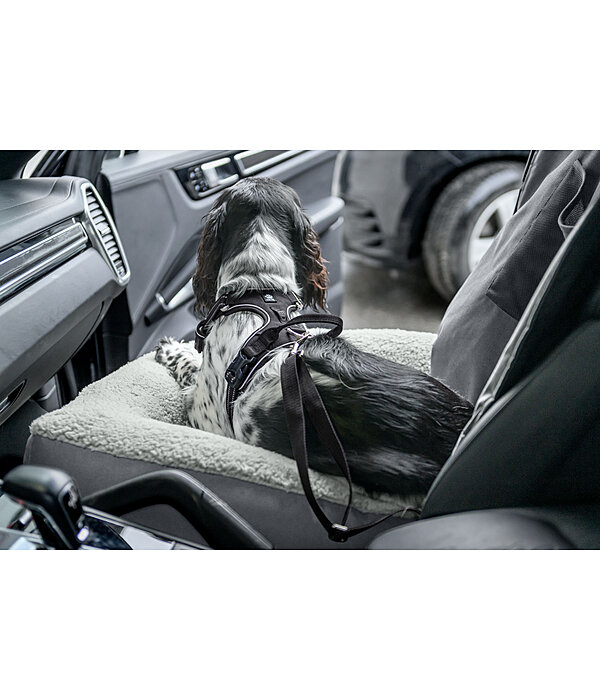 Coussin sige-auto pour chien  Maine