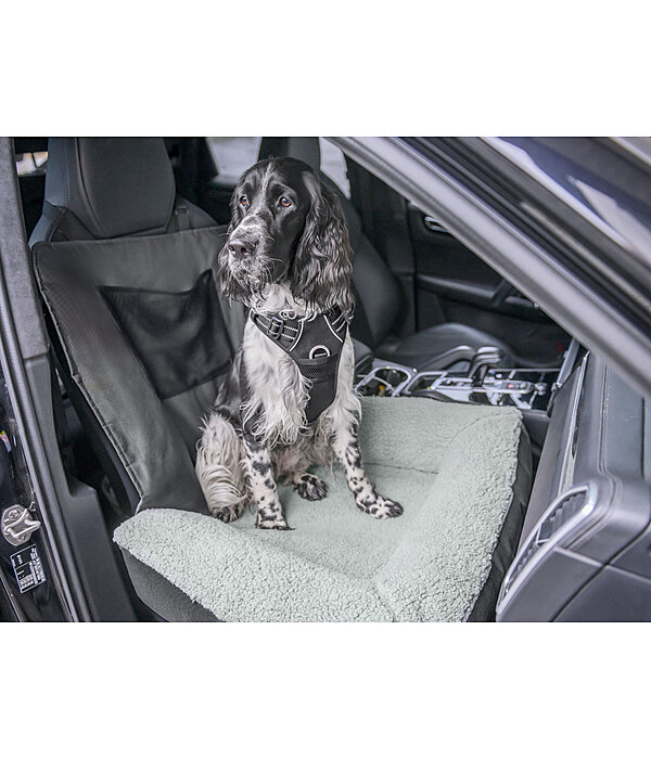 Coussin sige-auto pour chien  Maine