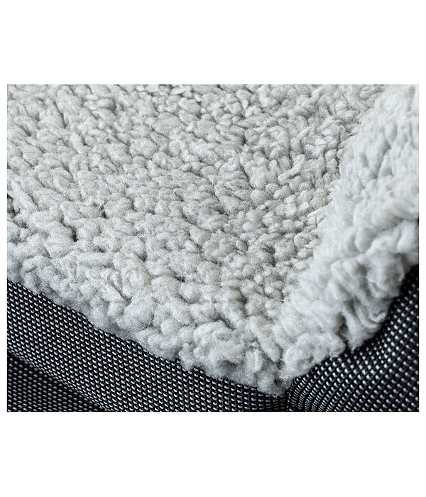 Coussin sige-auto pour chien  Maine