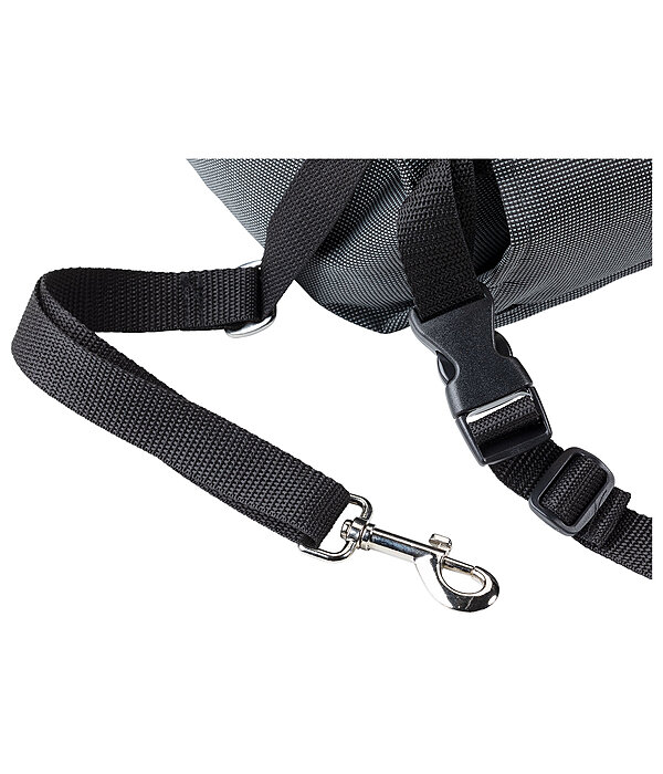 Coussin sige-auto pour chien  Maine