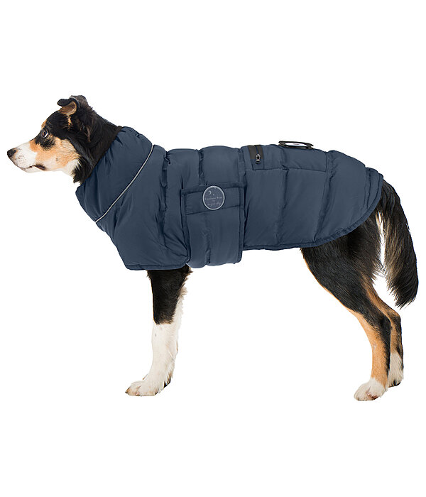 Manteau pour chien matelass avec lampe LED Arlo, 300 g