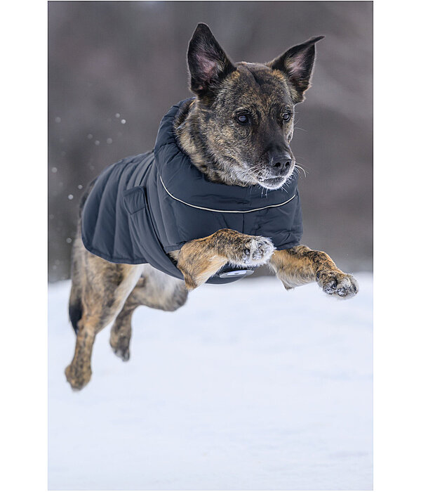 Manteau pour chien matelass� avec LED  Arlo, 300 g