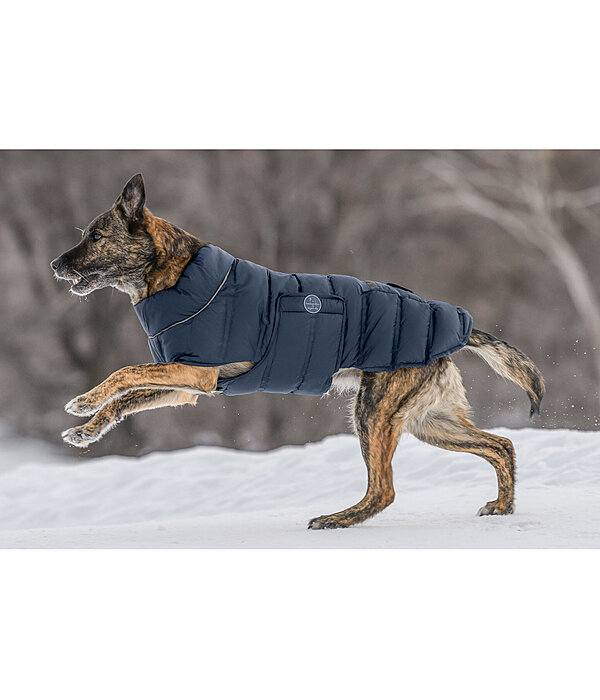 Manteau pour chien matelass� avec LED  Arlo, 300 g