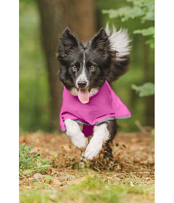 Manteau de pluie pour chien  Thousand Islands, 0 g