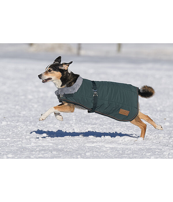 Manteau d'hiver pour chien avec doublure en fourrure Teddy  Gizmo, 200 g