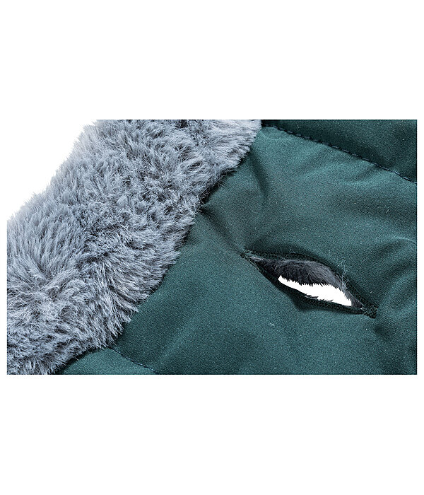Manteau d'hiver pour chien avec doublure en fourrure Teddy  Gizmo, 200 g