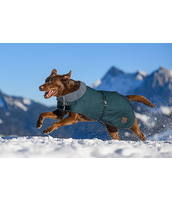 Manteau d'hiver pour chien avec doublure en fourrure Teddy  Gizmo, 200 g