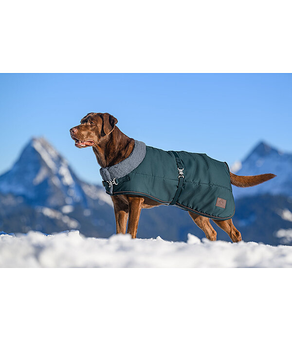 Manteau d'hiver pour chien avec doublure en fourrure Teddy  Gizmo, 200 g