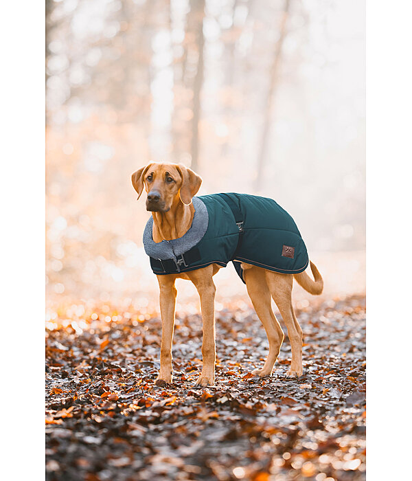 Manteau d'hiver pour chien avec doublure en fourrure Teddy  Gizmo, 200 g