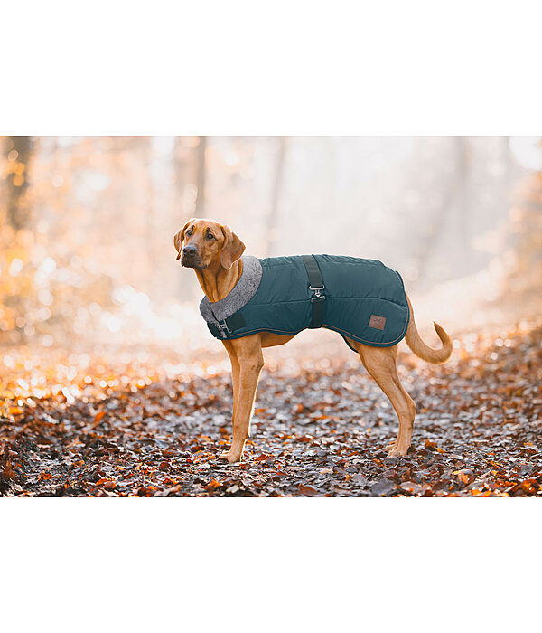 Manteau d'hiver pour chien avec doublure en fourrure Teddy  Gizmo, 200 g