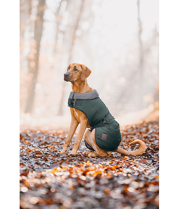 Manteau d'hiver pour chien avec doublure en fourrure Teddy  Gizmo, 200 g