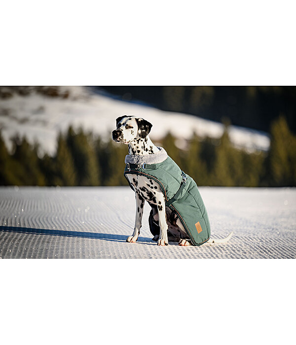 Manteau d'hiver pour chien avec doublure en fourrure Teddy  Gizmo, 200 g