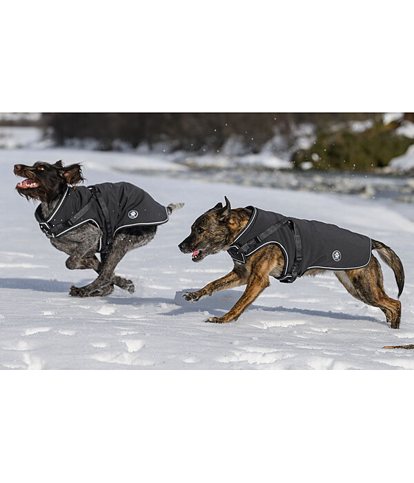 Manteau Softshell pour chien avec harnais intgr  Cruz, 160 g