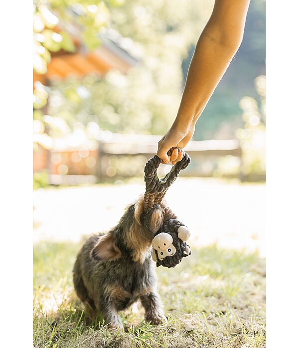 Jouet en peluche pour chien  Bounce